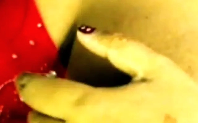 I give cum to my friend's mom inside her mouth while her husband is not at home! Karen Sleent