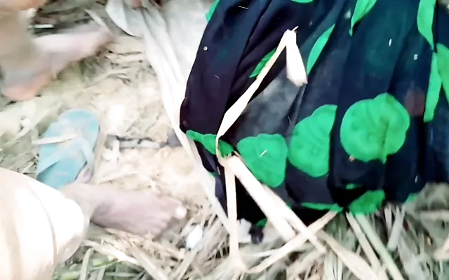 Indian no 1 blowjob video wild blowjob